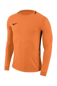 Свитер вратарский Nike Park III JSY LS GK