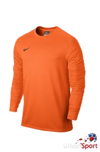 Свитер вратарский Nike LS PARK GOALIE II JSY